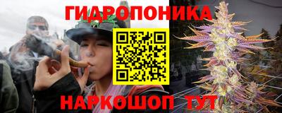 прущие грибы Коммунар