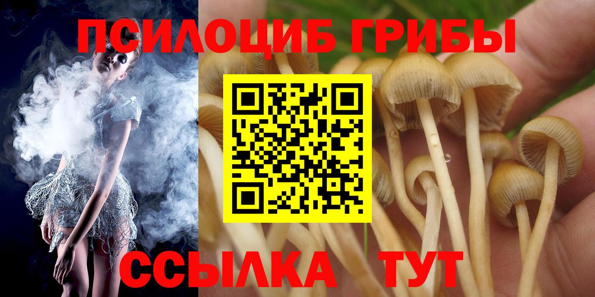 Метадон Котлас